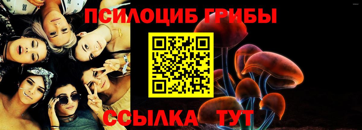 Псилоцибиновые грибы мицелий  Вход с VPN  Соль-Илецк 